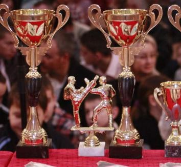Cinci clasări pe podium pentru karateka de la CSC Ţeţchea la Cupa Banatului Dechatlon